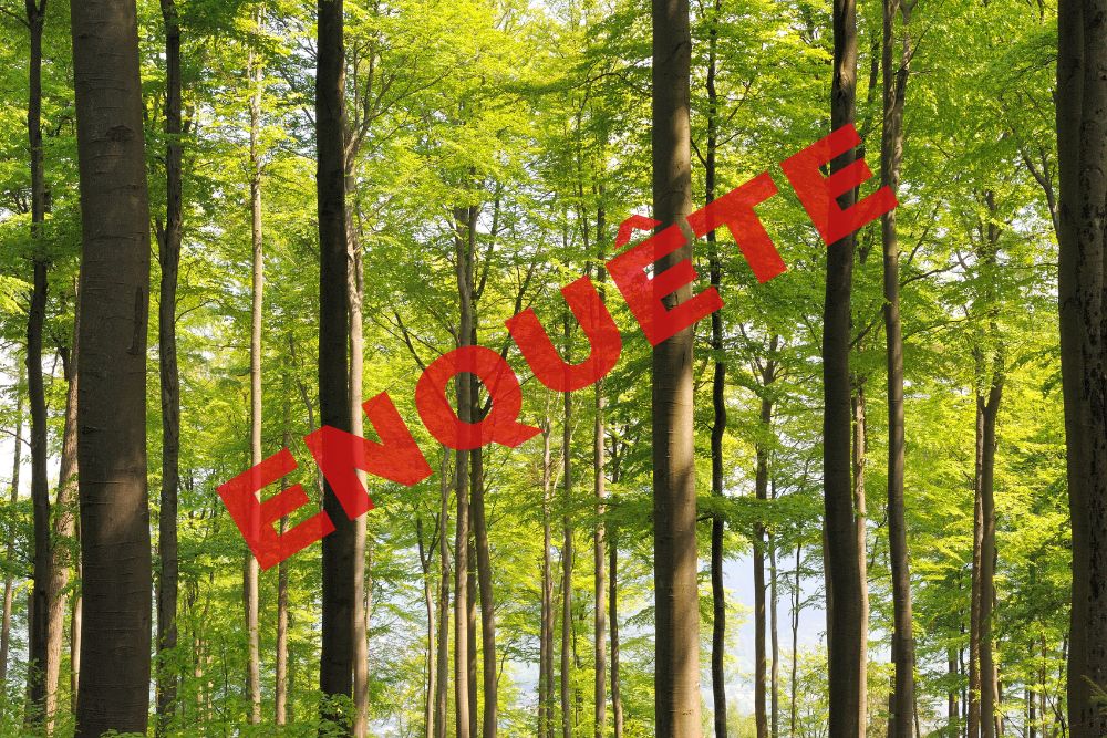 enquête écrit sur une photo de forêt